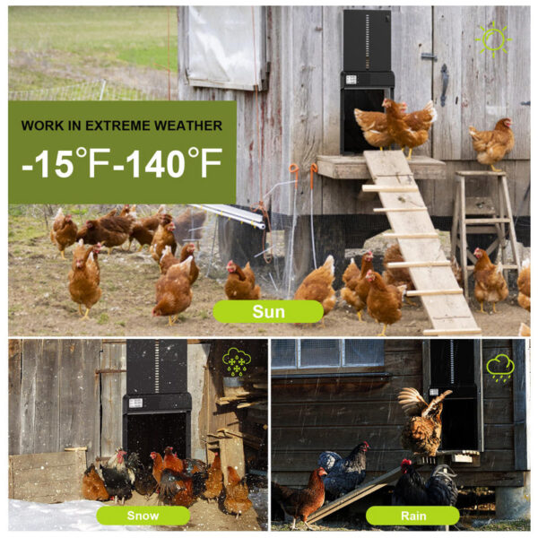 Automatic Aluminum Opener Timer Controlled Open/Close Door Anti-Pinch Function Chicken Coop