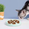 Slow Feeder Bowl for Cats and Small Dogs,Cilkus Fish Pool Design, Fun Interactive Bloat Stop Puzzle Feeder Bowl Healthy Eating Diet Made of Melamine Food Grade Material Dishwasher Safe (Green)