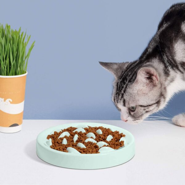 Slow Feeder Bowl for Cats and Small Dogs,Cilkus Fish Pool Design, Fun Interactive Bloat Stop Puzzle Feeder Bowl Healthy Eating Diet Made of Melamine Food Grade Material Dishwasher Safe (Green)