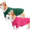 356a08fe4883aa00 Koneseve Dog Shirts Soft Cotton Dog Clothes Stretchy T-Shirt for Small Medium Large Dogs Cat Shirt Breathable Puppy Outfit Kitten Apparel Pet Pullover Tee Blank Basic Sweatshirt 2-Pack Blue & Red 5XL