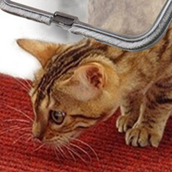 360a7a623d412ede 4 Way Lockable Dog Cat Kitten Security Flap Door Puppy Gate ABS Plastic Animal Small Pet Supplies Products