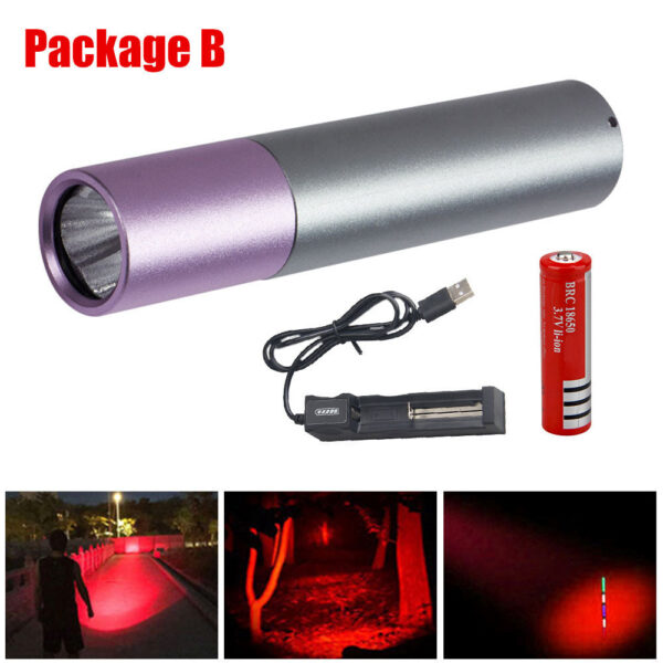 Penlight One Mode Red Light Flashlight for Camping Hiking Animal Protecting Beekeeping Detecting Aviation Night Vision