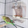 37681d52c7926b4e Large Capacity- Parrot Automatic Feeder,No Debris Bird Feeder, Parrot Cage Accessories Canary Parrot Bird Parrot Seed Food Container (Can Hold a Variety of Food) by Old Tjikko