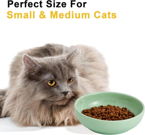 37f55f4be0eb3afe Howise 5.3 in Ceramic Cat Bowls Set, Shallow Cat Food Bowl Small Pet Bowls Cat Dish for Food and Water, Green