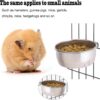 380455f59426439b PINVNBY Parrot Feeding Cups Birds Food Dish Stainless Steel Parrot Feeders Water Cage Bowls with Clamp Holder for Cockatiel Conure Budgies Parakeet Parrot Macaw Small Animal Chinchilla Pack of 2