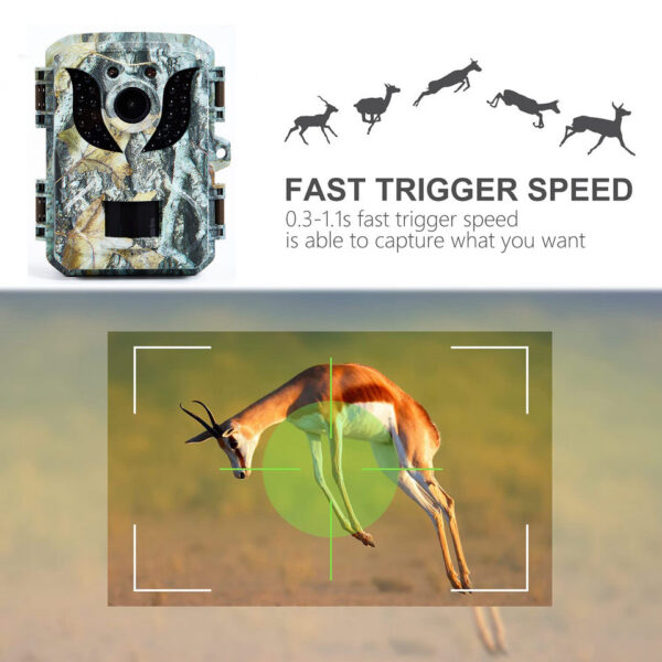 Mini Hunting Trail Camera 16MP 1080P HD Infrared Night Vision Waterproof Outdoor Motion Activated Wildlife Scouting Photo Traps