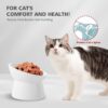 White Small Ceramic Raised Cat Bowls, Tilted Elevated Food or Water Bowls, Stress Free, Backflow Prevention, Dishwasher and Microwave Safe, Lead & Cadmium Free
