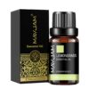 38f595b896c064c2 MAYJAM 10ML Lavender Lemongrass Jasmine Vanilla Eucalyptus Rose Lemon Essential Oil For Humidifier Diffuser Candle Making