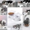MILIFUN Cat Bowls, Cat Food Bowls Elevated Tilted, Anti Vomiting Kitty Bowls for Puppy and Bunny, Orthopedic Cat Bowls for Indoor Cats. (Pink)