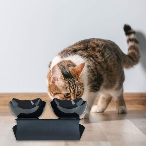 3d1022c279dabc58 Cat Food Bowls Elevated Cat Bowls Tilted 15° Plastic Cat Dishes Double Raised Cat Bowl with Non-Slip Rubber Base Stand for Cats (Black)