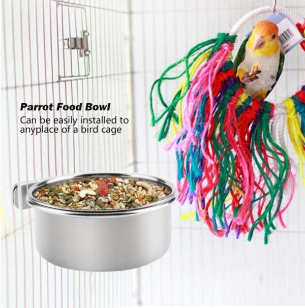 3ddbb8e7138c7833 PINVNBY Parrot Feeding Cups Birds Food Dish Stainless Steel Parrot Feeders Water Cage Bowls with Clamp Holder for Cockatiel Conure Budgies Parakeet Parrot Macaw Small Animal Chinchilla Pack of 2