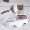 MILIFUN Cat Bowls, Cat Food Bowls Elevated Tilted, Anti Vomiting Kitty Bowls for Puppy and Bunny, Orthopedic Cat Bowls for Indoor Cats. (Pink)