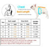 Winter Pet Clothes Cute Bear Warm Fleece Dogs Sweatshirt For Puppy Small Medium Dog Clothing Jacket French Bulldog Chihuahua