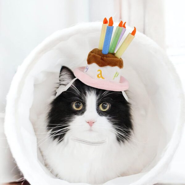 Namsan Holiday Pet Costume Cat Birthday Hat Small Dog Birthday Cake Hat Dog Birthday Party Supplies, Small