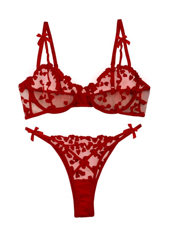 Lilosy Sexy Underwire Cute Push Up Strappy Embroidered Mesh Sheer Lingerie Set See Through Panty Bra