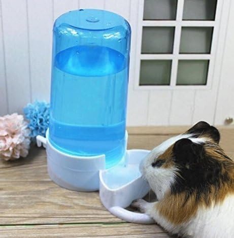 421c46f92c356ee1 Pet Feeder Automatic,Bird Hamster Small Animal Feeder, Automatic Feeding Device Dispenser for Hamster Bird Pigeon Parrots Mini Hedgehog with Holder (5.90x2.83x6.10in)