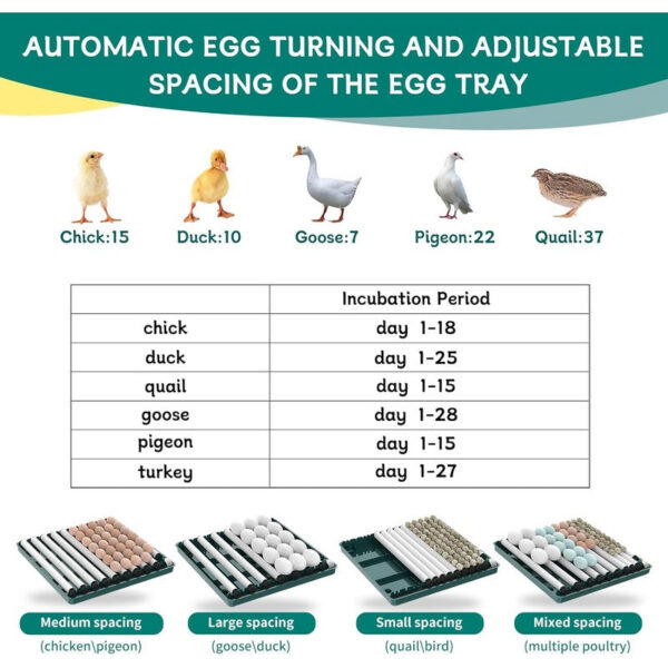 9-15 eggs incubator for Chicken Goose Bird Quail Automatic Equipment Hatchery Incubation Tools EU/US/UK Plug