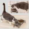 43a08824332304d5 FOREYY Elevated Cat Bowls with 2 Ceramic Bowls and 2 Stainless Steel Bowls,Raised Cat Food Water Bowl with Iron Stand,Porcelain Pet Dishes for Cats and Small Dogs,16 Ounces,Dishwasher Safe(Gray)