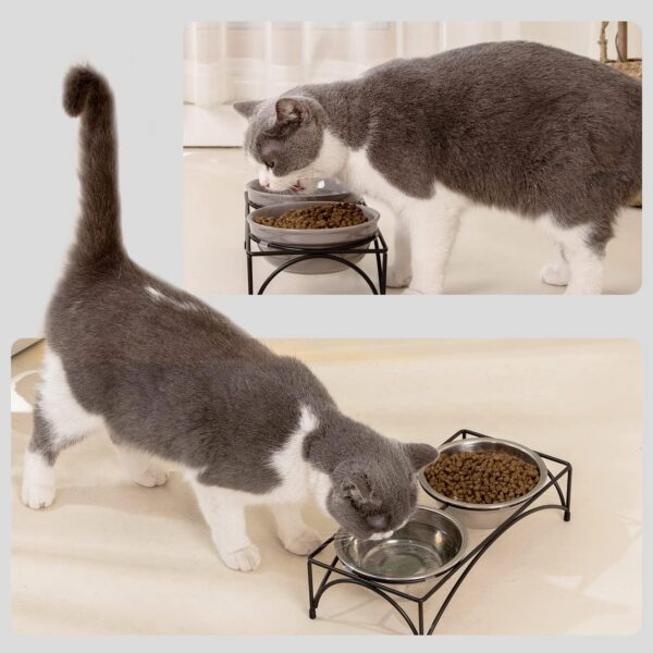 43a08824332304d5 FOREYY Elevated Cat Bowls with 2 Ceramic Bowls and 2 Stainless Steel Bowls,Raised Cat Food Water Bowl with Iron Stand,Porcelain Pet Dishes for Cats and Small Dogs,16 Ounces,Dishwasher Safe(Gray)