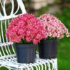 43b3a872673a292d 24 Bundles Artificial Flowers for Outdoor,No Fade Fake Plastic Flowers Faux Plants for Decoration Hanging Planters Indoor Outside Garden Porch Window Box Home Wedding Farmhouse