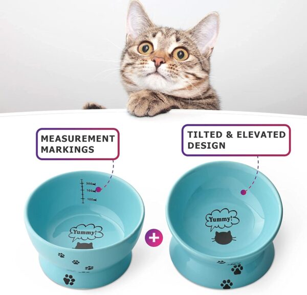 Y YHY Raised Cat Food Bowl Set, Ceramic, Tilted Elevated Bowls, 2 Bowls, 3.6 in & 3 in, White