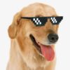 Lorigun Thug Life Pixel Sunglasses for Party, Deal with it Glasses Bachelor Part
