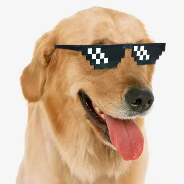 Lorigun Thug Life Pixel Sunglasses for Party, Deal with it Glasses Bachelor Part
