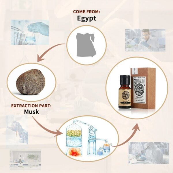 456476df484f91ae AKARZ Musk Essential Oil Natural Aromatherapy Relieve The Nerve Balance Mood body face care Musk Oil