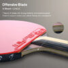 DHS 9 Star Table Tennis Racket Professional 5 Wood 2 ALC Offensive Ping Pong Racket with Hurricane Sticky Rubber