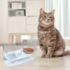 474b57b6268a6fe6 Cat Food Bowls Elevated Cat Bowls Tilted 15° Plastic Cat Dishes Double Raised Cat Bowl with Non-Slip Rubber Base Stand for Cats (Black)