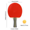1 set of table tennis racket set, table tennis racket indoor and outdoor training set, sports equipment