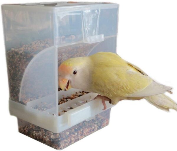 4ca1e19a69ba117b Hypeety Bird Parrot Feeding Double Cups Stainless Steel Food Water Bowls with Clip Bird Seed Feeder Cups Hanging Bowl Cage Stand Accessories