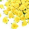 Kesoto 50pcs Black Roses Artificial Flowers Bulk, 1.6 Inch Small Silk Fake Roses Flower Heads for Decoration, Crafts, Wedding Halloween Party Home Decor