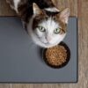 4d56139a2b4a6c5a Yangbaga Cat Raised Food/Water Bowl for Elder Big Cats, Non-Skid 4.8x6.4in Premium Ceramic Cat Bowls with Stand, Sturdy and Anti-Fall… (White)