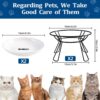 4da80eef68a95241 Cat Bowls, Elevated Cat Bowl, Raised Ceramic Cat Dish with Metal Stand, Pet Water or Food Feeding Station for Indoor Cats, Kitten, Puppies and Small Dogs(2 Pack)
