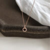 Sterling Sier Necklace Flash Diamond Geometric Double Circle Pendant Female Fashion Clavicle Chain Birthday Gift Jewelry