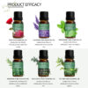 4f5207ac8de231a7 Essential Oils for Diffusers Lavender Eucalyptus Tea Tree Peppermint Rosemary Mint Bergamot Lemon Rose Pure Essential Oil 10ml