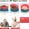 506fa5de4b0b236f 2Pcs Cat Bowls Elevated Cat Food Bowl Adjustable Cat Dish Anti-Slip and Anti-Noise Raised Cat Bowl Protecting Pet’s Spine Thickened Plastic Bowl Suitable for Indoor Cats, 17 Oz