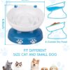Y YHY Slow Feeder, Elevated Food Bowl Tilted Design for Dog and Cat for Dry and Wet Food