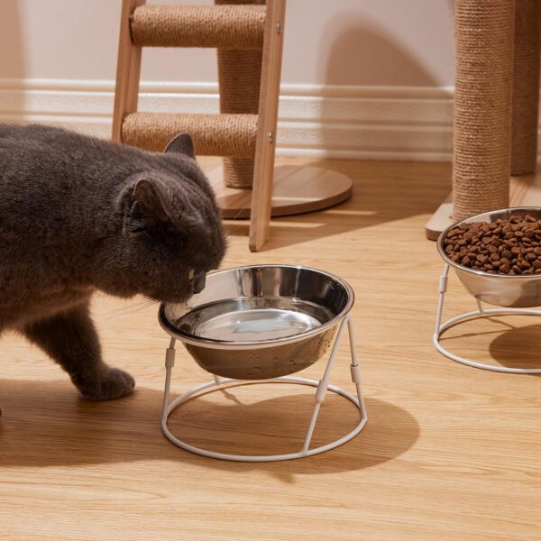 50ed767fdb9c10b2 Yangbaga Raised Cat Food & Water Bowl, 4.96 in High Cat Food Bowl for Indoor Cats, Reduce Neck Burden & Easy to Clean