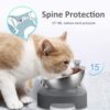 517d06b6aa26b8d6 Stainless Steel Cat Food Bowl, 15-Angle, Ergonomic Design Reduces Vomiting