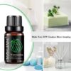 MAYJAM 10ML Fruit Fragrance Oil Strawberry Watermelon Mango Coconut Cherry For Humidifier Candle Soap Making Air Freshener