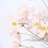 521540c4f8e20a2e 2 Pcs Artificial Flowers Plants Calliopsis Silk Flower Arrangements Wedding Bouquets Decorations Plastic Floral Table Centerpieces for Home Kitchen Garden Party Decor Approx 23.6'' High - Light Pink