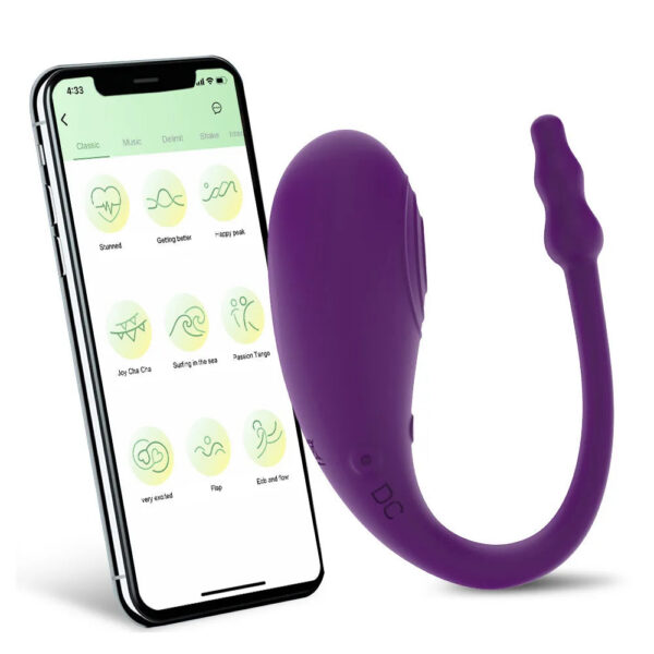 10 Speed APP Controlled Vaginal Vibrators G Spot Anal Vibrating Egg Massager Wearable Stimulator Adult Sex Toys for Women Couple