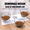 Raised Cat Bowl with Stand, 15° Tilted Cat Bowls for Kittens Elevated Cat Bowl Anti Vomiting Double Cat Bowls Plastic Transparent Cat Feeding Bowl