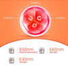 Penlight One Mode Red Light Flashlight for Camping Hiking Animal Protecting Beekeeping Detecting Aviation Night Vision