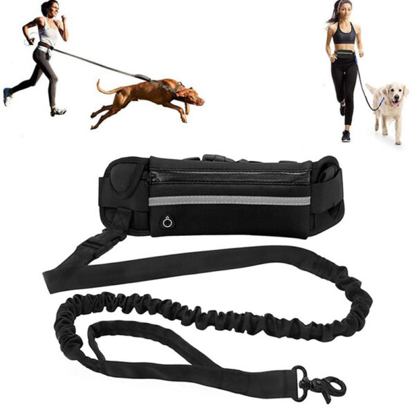 5567bb6d8b933fc2 Hands Free for Running Walking Reflective Leash with Waist Bag Retractable Elastic Belt Dog Traction Rope Pet Products