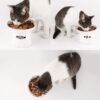 567f9e48c5b62639 Yangbaga Cat Raised Food/Water Bowl for Elder Big Cats, Non-Skid 4.8x6.4in Premium Ceramic Cat Bowls with Stand, Sturdy and Anti-Fall… (White)