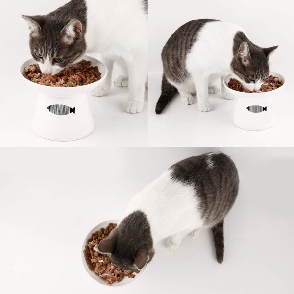 567f9e48c5b62639 Yangbaga Cat Raised Food/Water Bowl for Elder Big Cats, Non-Skid 4.8x6.4in Premium Ceramic Cat Bowls with Stand, Sturdy and Anti-Fall… (White)