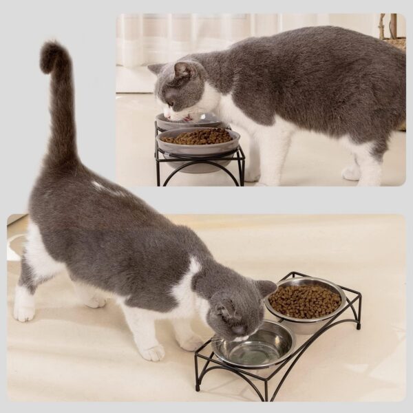 571c3038a6d46920 FOREYY Elevated Cat Bowls with 2 Ceramic Bowls and 2 Stainless Steel Bowls,Raised Cat Food Water Bowl with Iron Stand,Porcelain Pet Dishes for Cats and Small Dogs,16 Ounces,Dishwasher Safe(Gray)